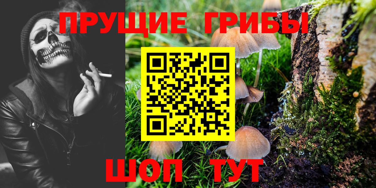 Асбест  Псилоцибиновые грибы прущие грибы  купить закладку  Вход с VPN 